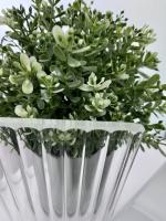 Перегородка для душа RGW WA-08G 100*195 06100810-156 профиль Золото стекло Ribbed 8 мм RGW