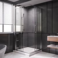 Душевой угол раздвижной 1100Х900x2000 цвет профиля Хром стекло прозрачное  PTC20-CH-11090-01-C4 Premium Veconi